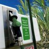 В Пензе построят электростанцию на биотопливе