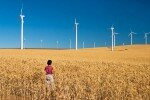 В Ставропольском крае выберут участки для строительства ветроэлектростанций