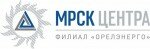 Филиал ОАО «МРСК Центра» - «Орелэнерго» подводит промежуточные итоги «Автопробега энергоэффективности» в Орловской области